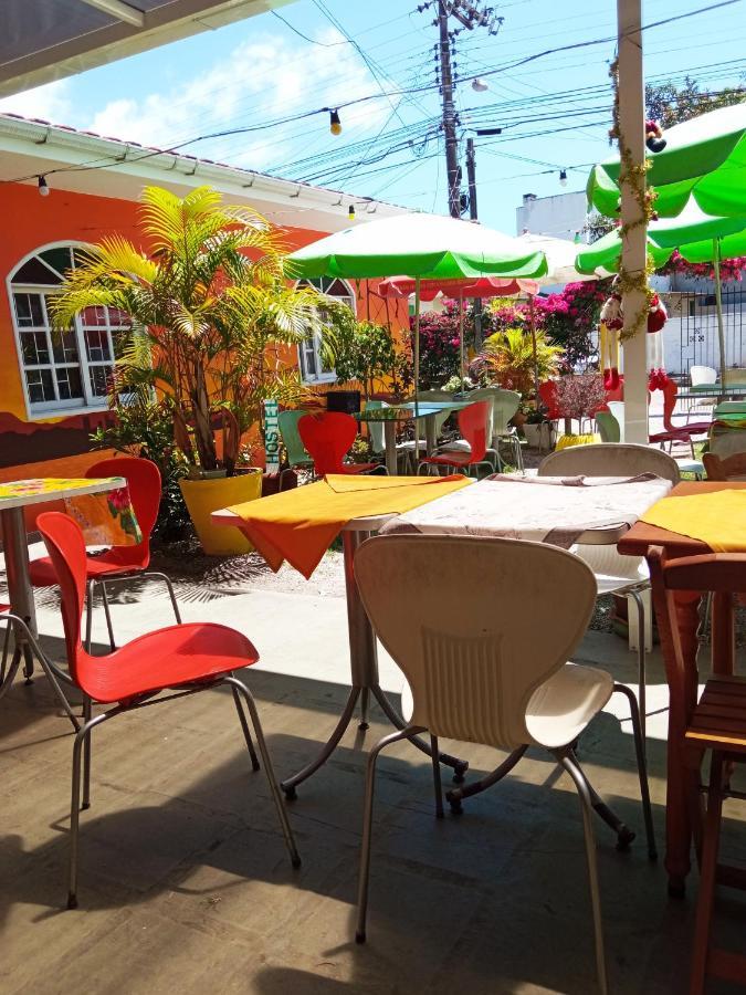 Colibri Hostel Florianopolis Ngoại thất bức ảnh